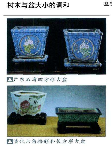 盆景怎么配盆
