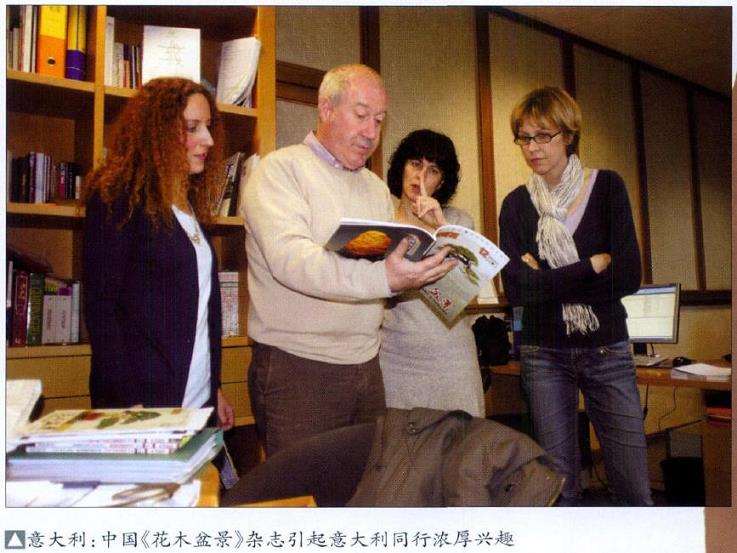 怎么加速促进中国盆景走向世界