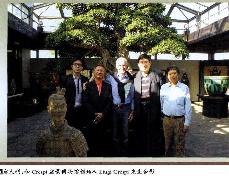 怎么加速促进中国盆景走向世界