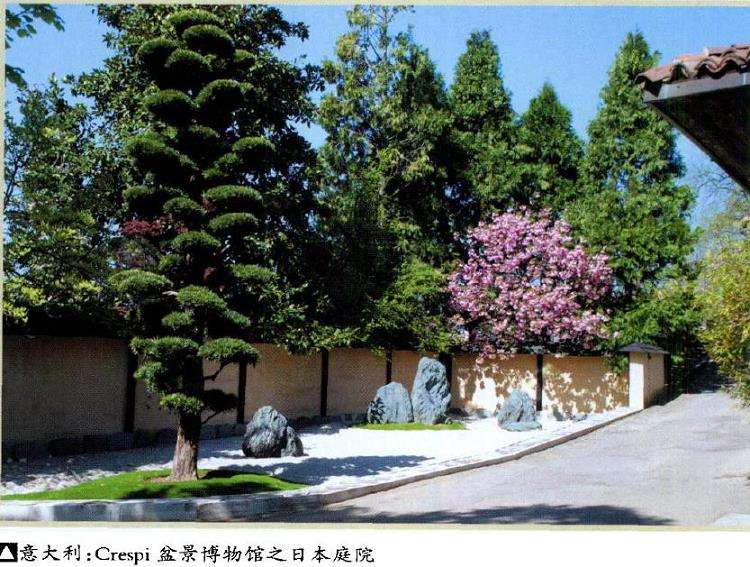 怎么加速促进中国盆景走向世界