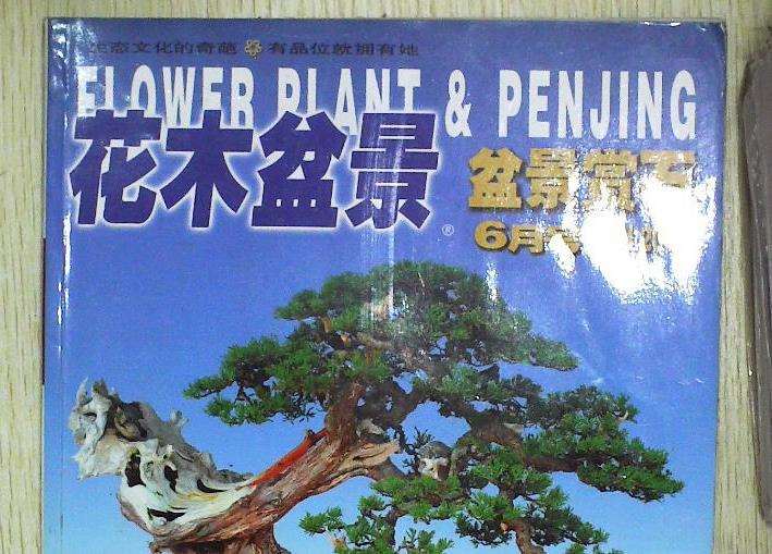 愿《花木盆景》盆景赏石版越办越精彩