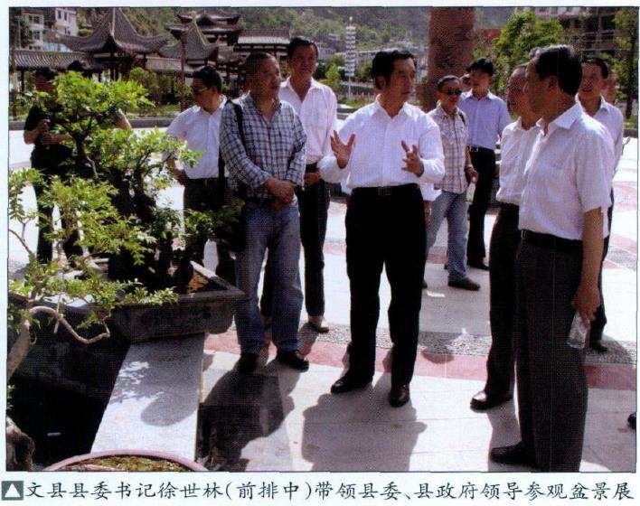 甘肃文县第二届盆景展