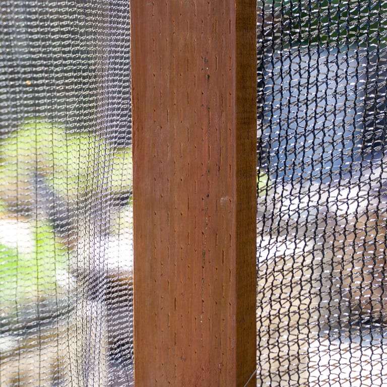 图解 怎么看盆景土壤判断是否需要浇水