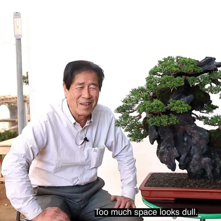 木村正彦的盆景在线课程有哪些 图片