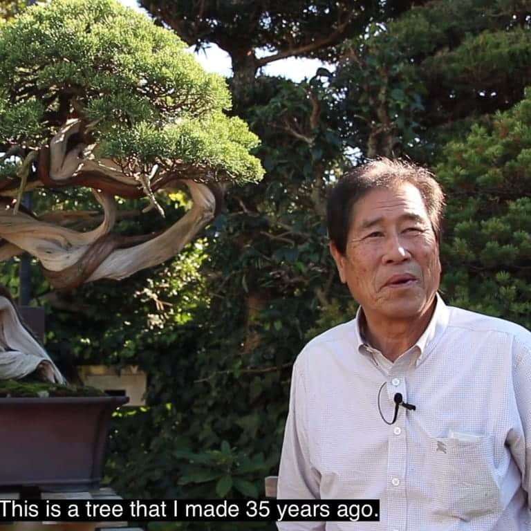 木村正彦的盆景在线课程