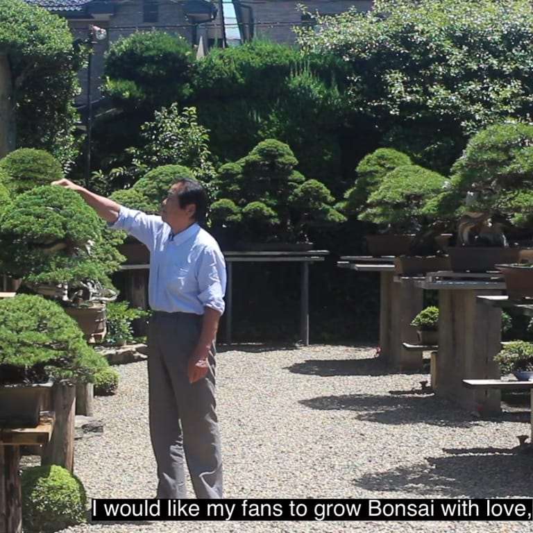 木村正彦的盆景在线课程