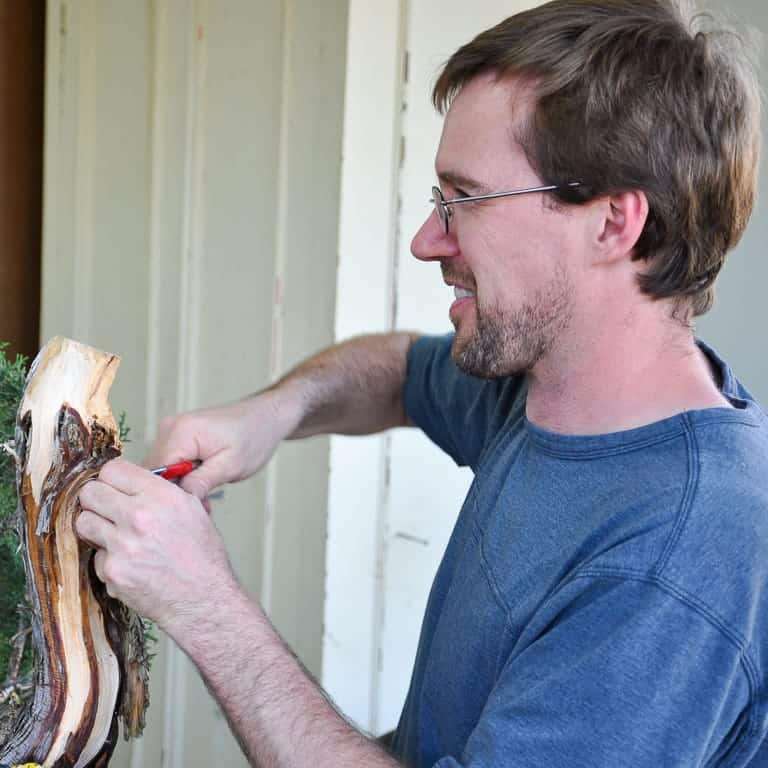 新书《盆景异端》背后的故事