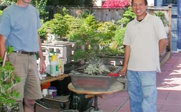 新书《盆景异端》背后的故事 图片