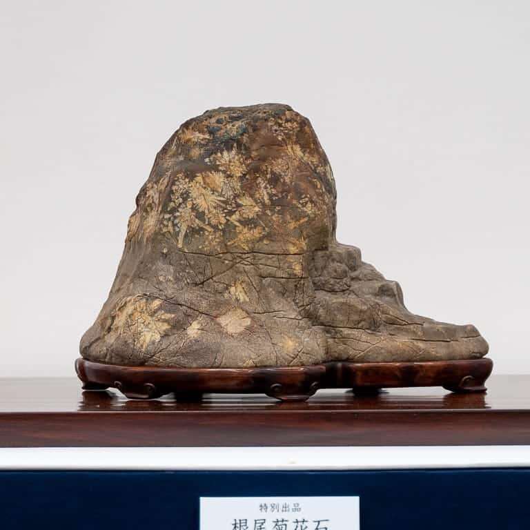 2020年 第七届日本水石盆景展 图片