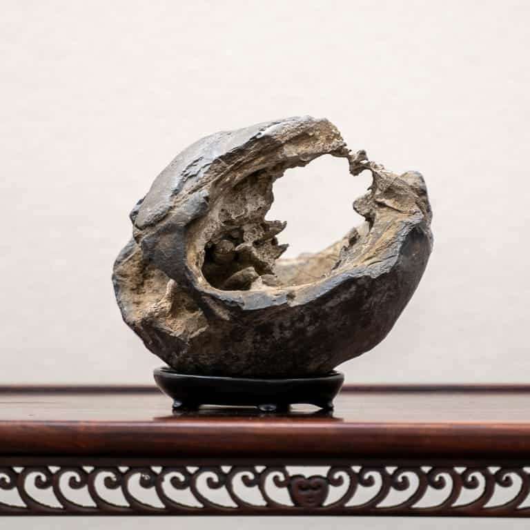 2020年 第七届日本水石盆景展 图片