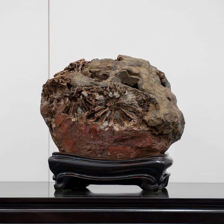 2020年 第七届日本水石盆景展 图片