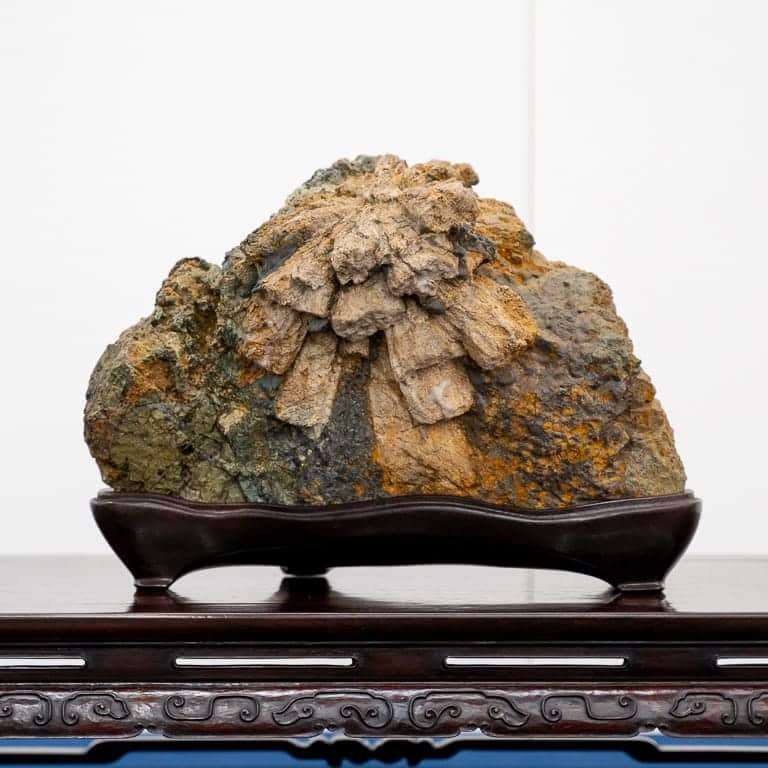 2020年 第七届日本水石盆景展 图片