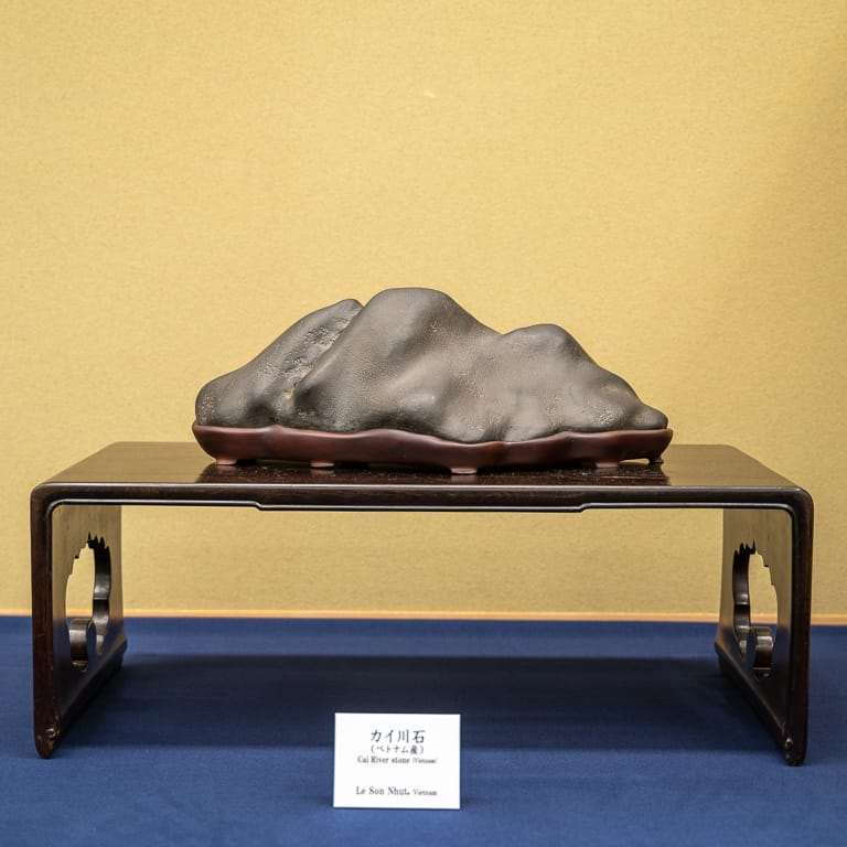 2020年 第七届日本水石盆景展 图片