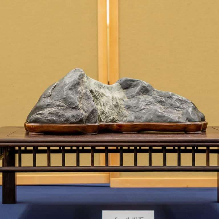 2020年 第七届日本水石盆景展 图片