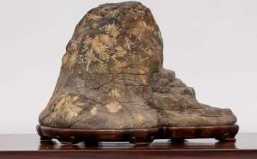 2020年 第7届日本水石盆景展 图片