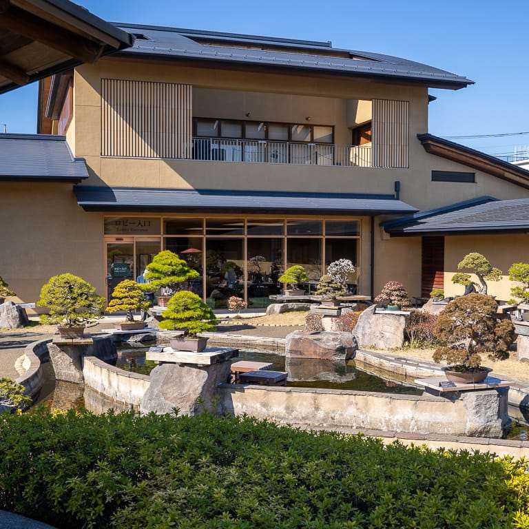 大宫盆景博物馆花园的亮点 图片