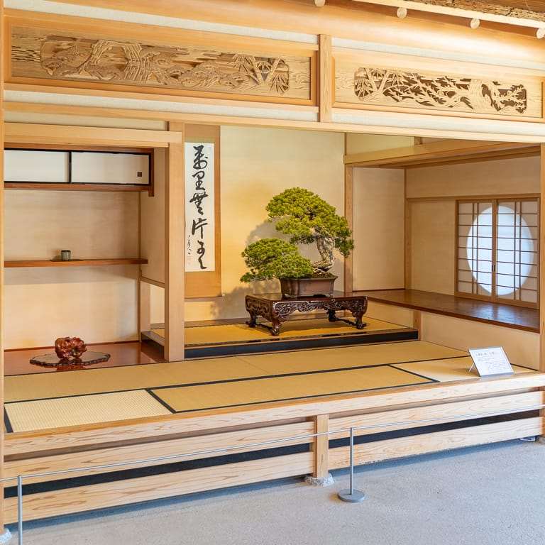 2020 大宫盆景博物馆 追求美的境界