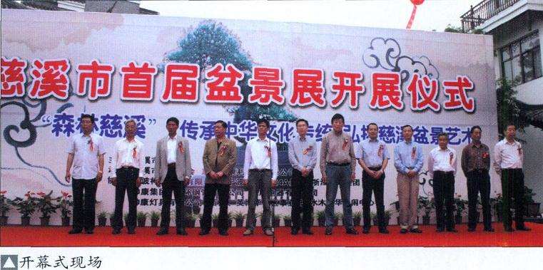 宁波慈溪举办首届盆景展