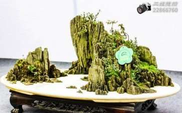 遵义日报 我市将举行首届市花杜鹃盆景奇石展