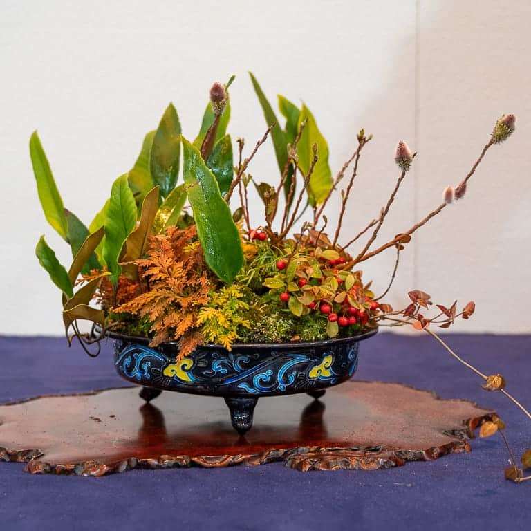 第94届国府10周年盆景大会 图片