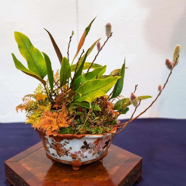 第94届国府10周年盆景大会 图片