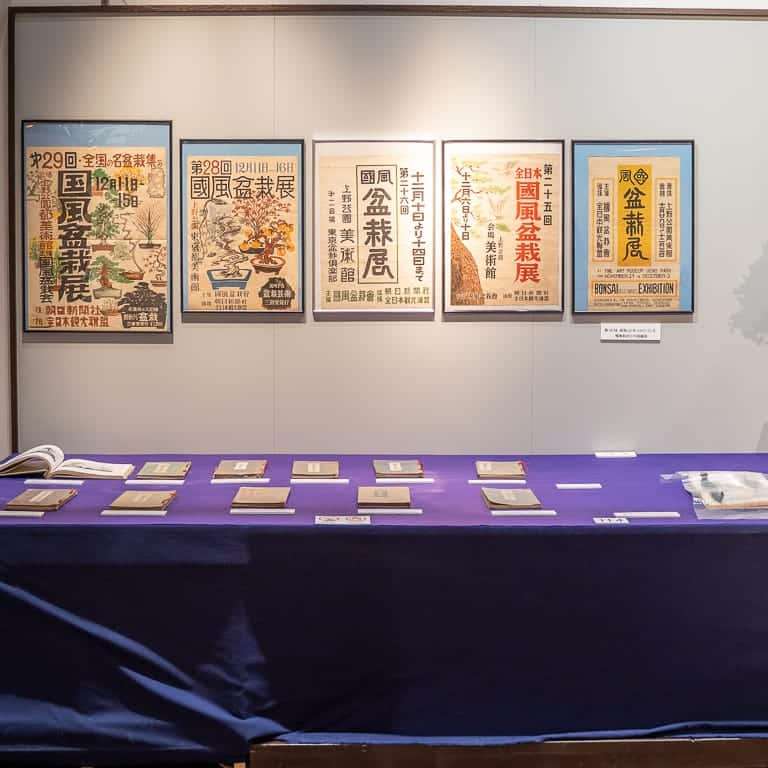 第94届国府盆景展上的历史云杉