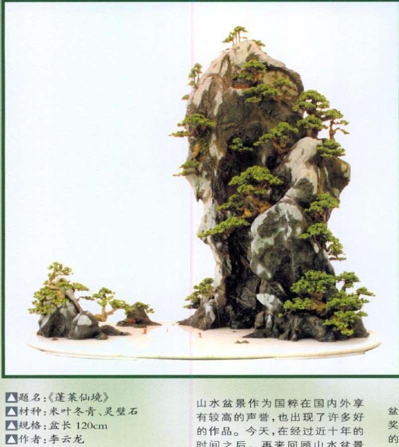 山水盆景怎么发展的2个方面 图片