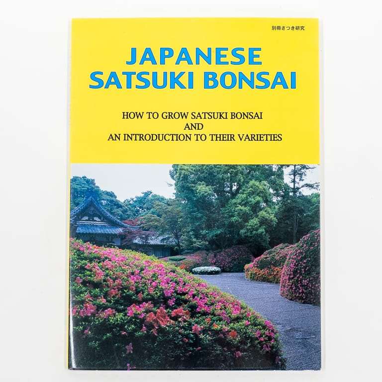 小月杜鹃花盆景 前后修剪 对比图片