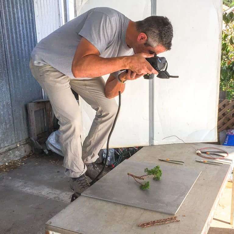 我们出版《盆景小书》背后的故事 图片