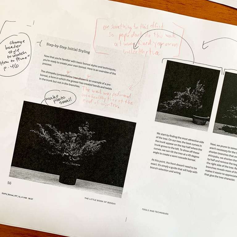 我们出版《盆景小书》背后的故事