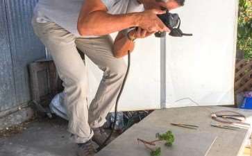 我们出版《盆景小书》背后的故事 图片