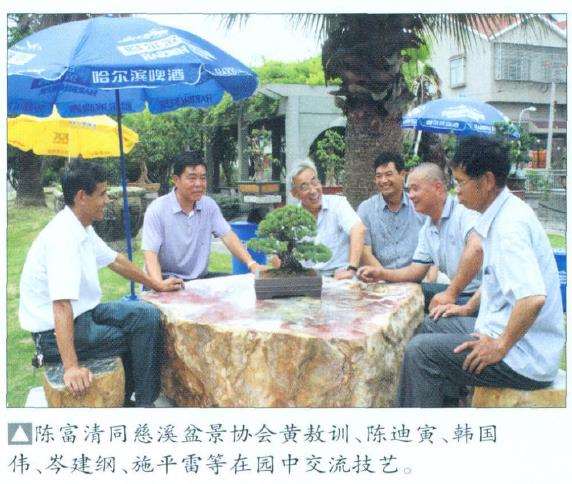 慈溪盆景界的后起之秀