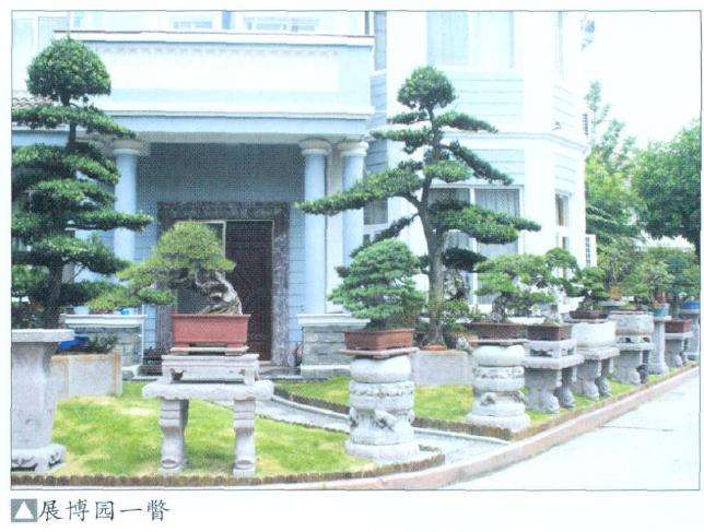 慈溪盆景界的后起之秀