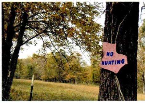 细嗅蔷薇 寻找沼泽蔷薇 见识美国农村 二