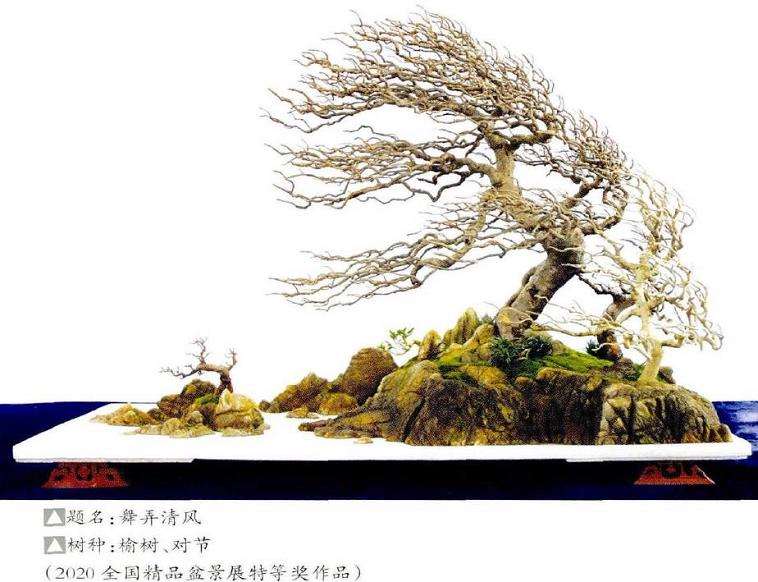 舒杰强先生动势盆景