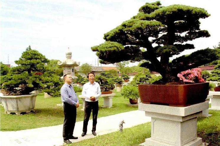 访问上海盛家盆景园