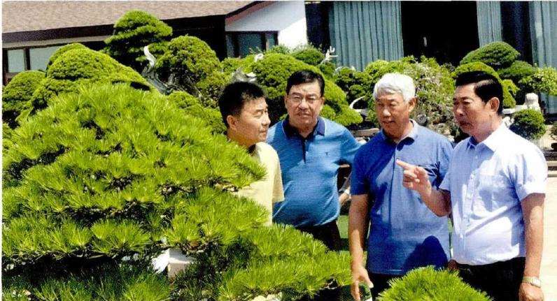 淮安盆景协会拜访江苏联盟