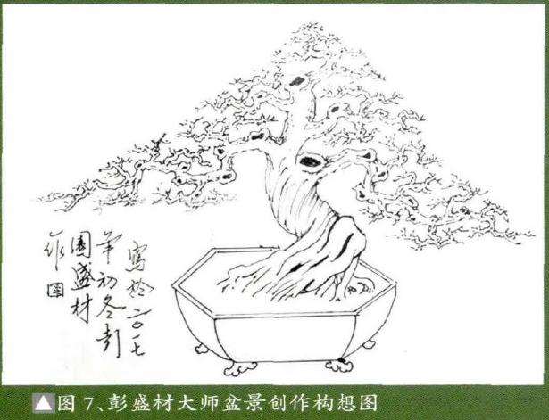图解 彭盛材盆景怎么快速造型的12个步骤