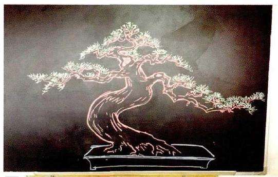 图解 彭盛材盆景怎么快速造型的12个步骤