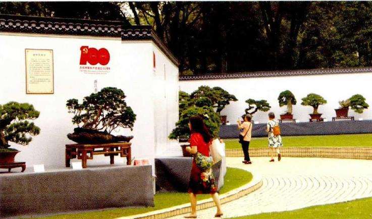 2021 温州市第十三届盆景艺术博览会