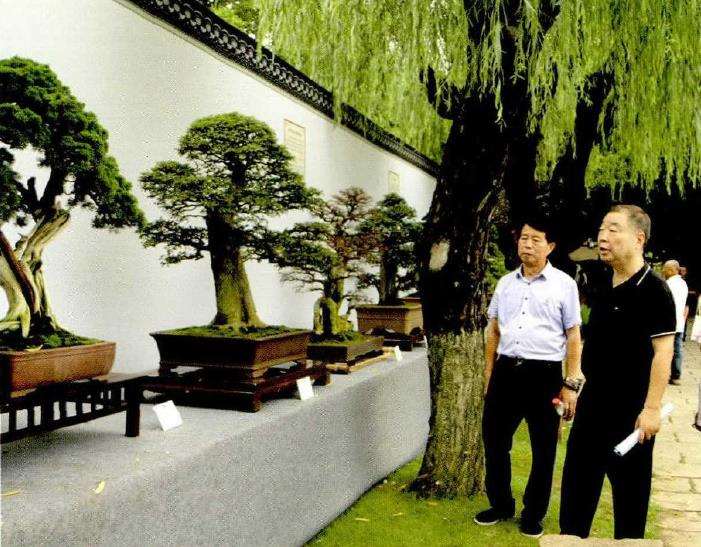 2021 温州市第十三届盆景艺术博览会