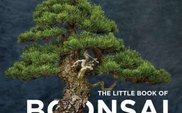 老外新书《盆景小书》发售 图片