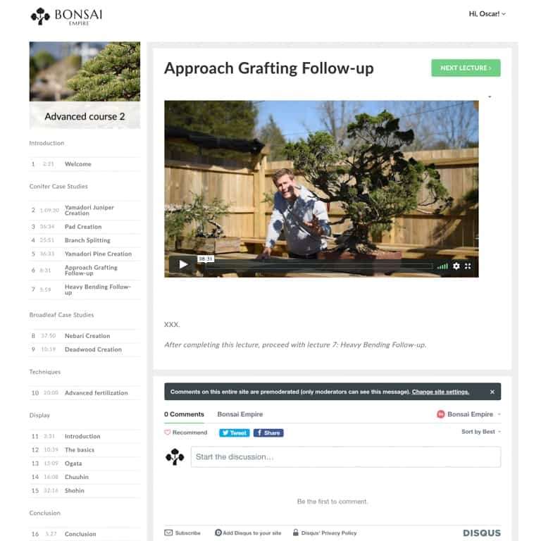 盆景帝国的高级课程回顾 图片