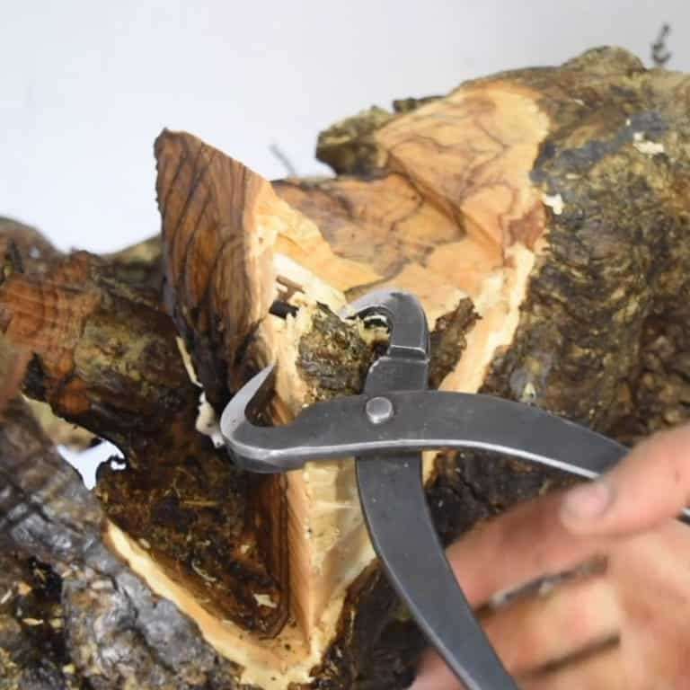 盆景帝国的高级课程回顾 图片