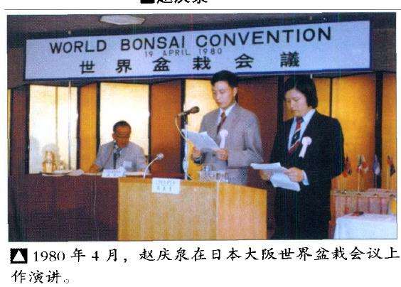 国外盆景大多受日本盆栽的影响