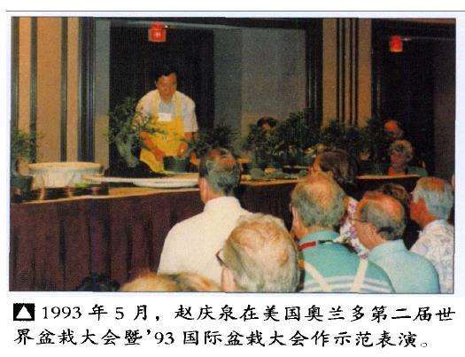 国外盆景大多受日本盆栽的影响