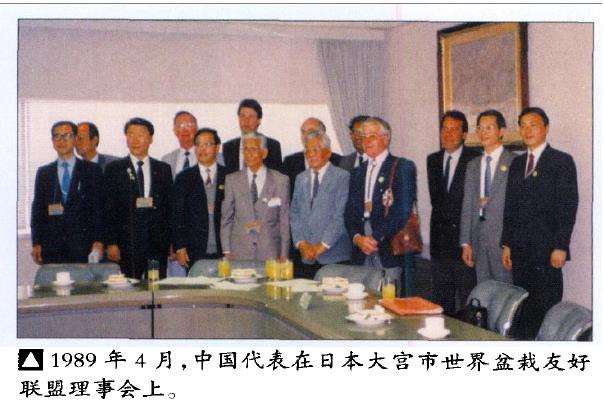 为什么中国盆景实物出国参展逐渐减少