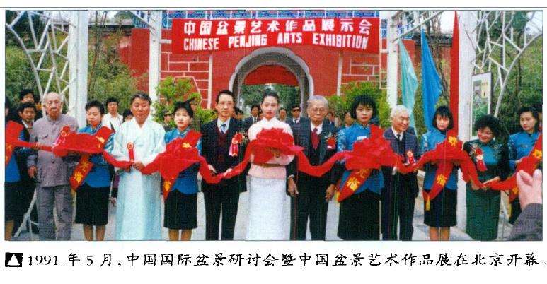 为什么中国盆景实物出国参展逐渐减少