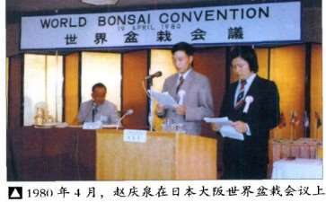 为什么中国盆景实物出国参展逐渐减少