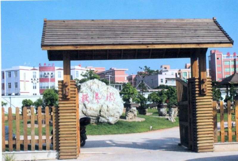 晋江榕树盆景园